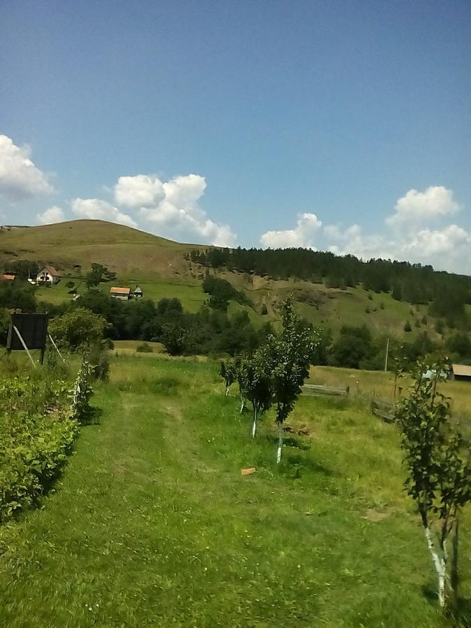Holiday Home Vila Milka Kremna Buitenkant foto