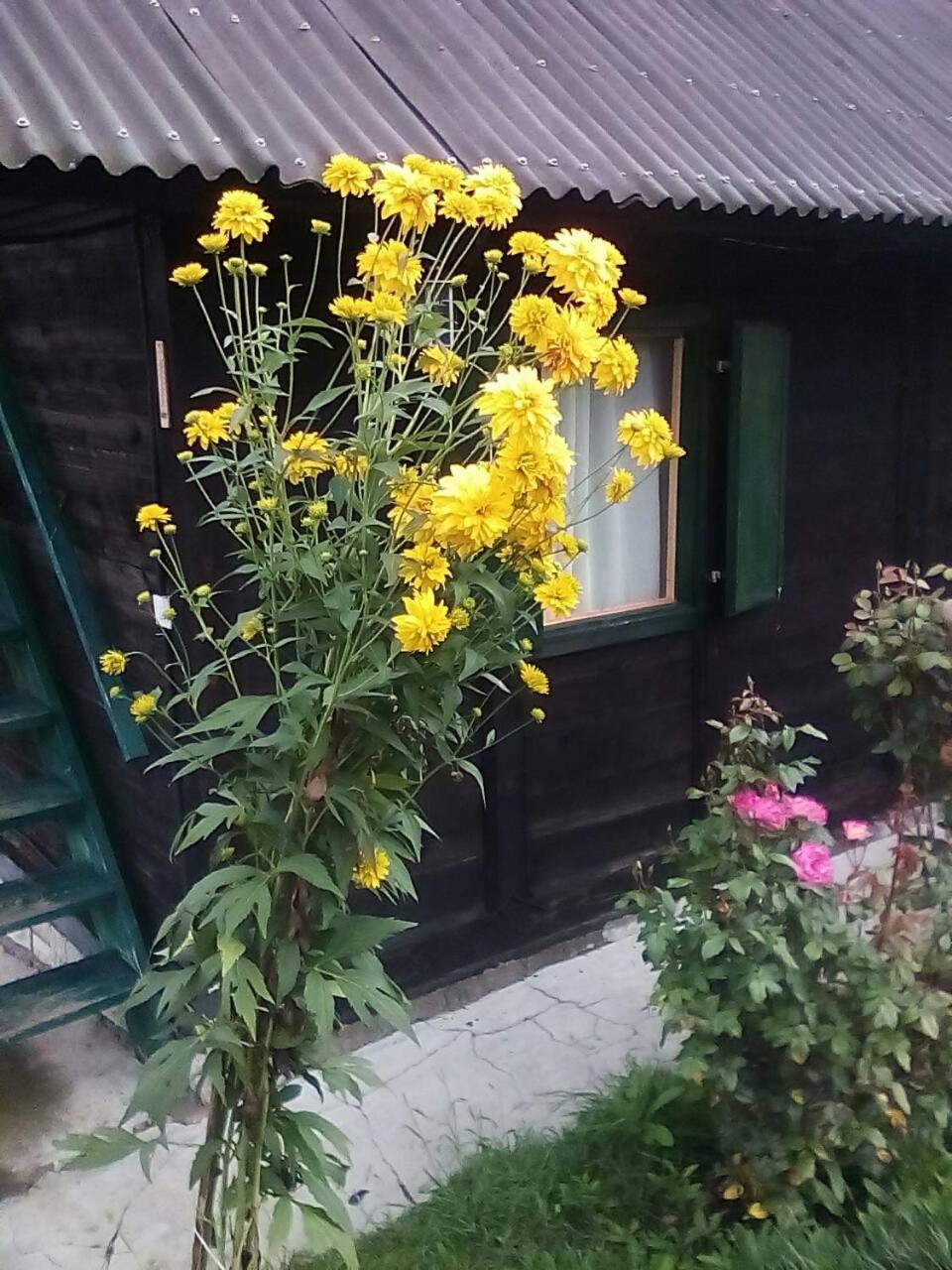 Holiday Home Vila Milka Kremna Buitenkant foto